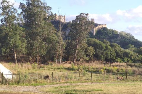 Farm i Obidos, Leiria, Obidos - € 4.500.000 | Ref: MM002410 - foto 26